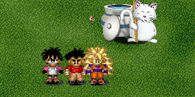 Dragon Ball Z Village
