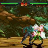 Dragon Ball Z Mugen 2010 - Screenshot